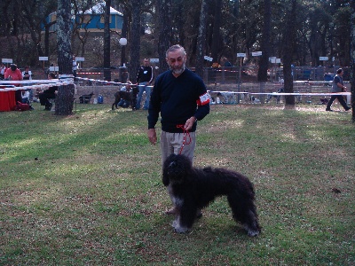 Du manoir de la closerie - Benji à Capbreton