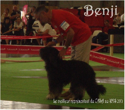 Du manoir de la closerie - Championnat de France et WDS.......