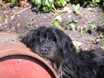 Du manoir de la closerie - Bibie............