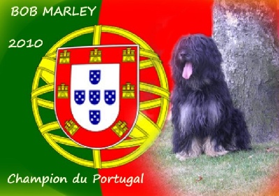 Du manoir de la closerie - Bob Marley devient champion du portugal