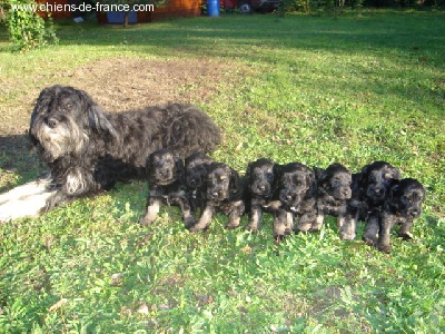 Du manoir de la closerie - encore une super photo de famille!