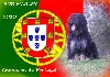  - Bob Marley devient champion du portugal