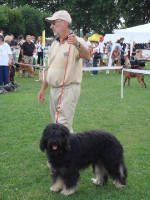 Du manoir de la closerie - Benji  à Aulnay