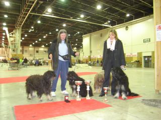 Du manoir de la closerie - Paris Dog Show 2008